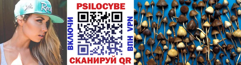 Купить где  Нижние Серги  Галлюциногенные грибы прущие грибы 